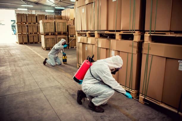 Best Wasp Removal Services  in Miami Shores, FL