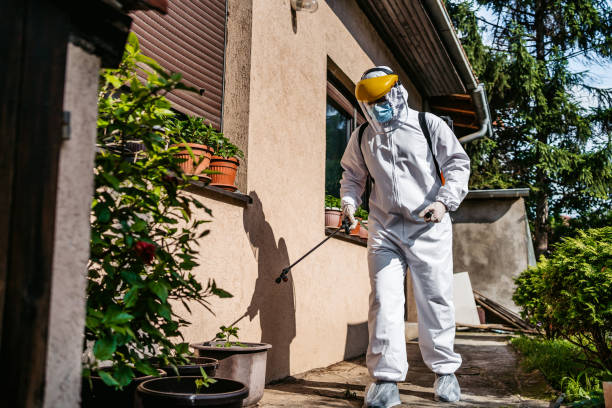 Reliable Miami Shores, FL Pest Control Solutions