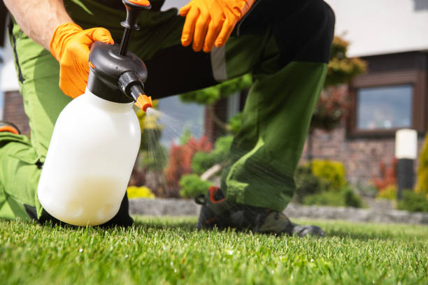 Best Pest Control for Businesses  in Miami Shores, FL