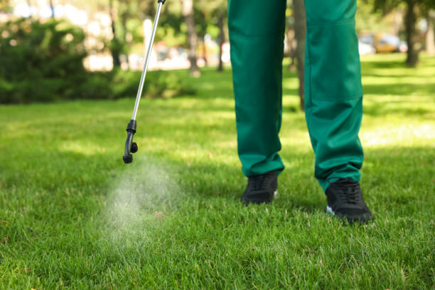 Bird Control in Miami Shores, FL
