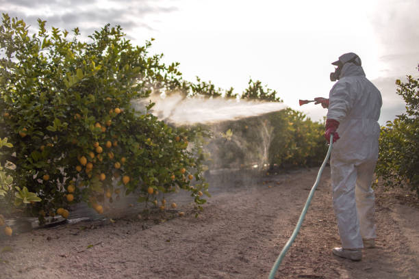 Best Residential Pest Control  in Miami Shores, FL