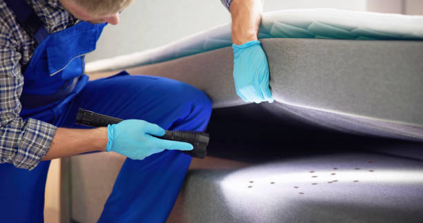 Best Mosquito Control Services  in Miami Shores, FL