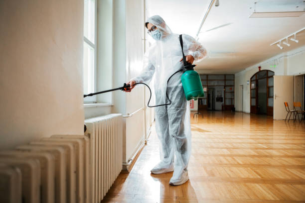 Best Pest Control Near Me  in Miami Shores, FL