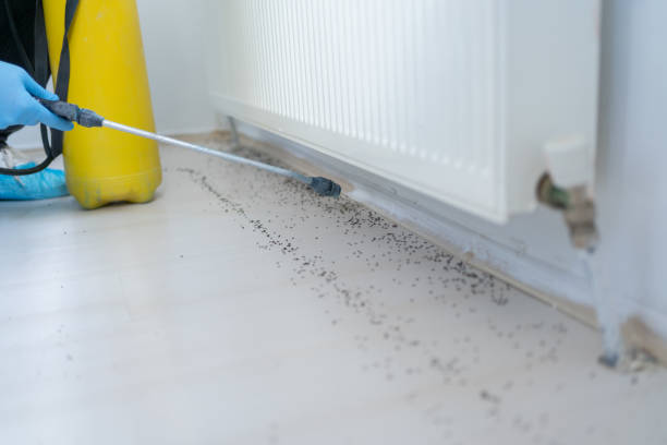 Best Best Pest Control Companies  in Miami Shores, FL